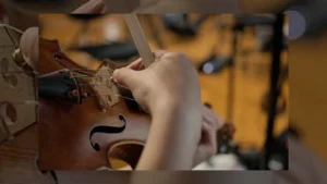 synchron solo violin 2 & viola (sordino) join vsl line-up