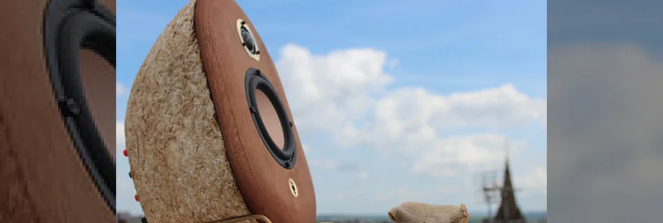 mushroom speakers designed by student
