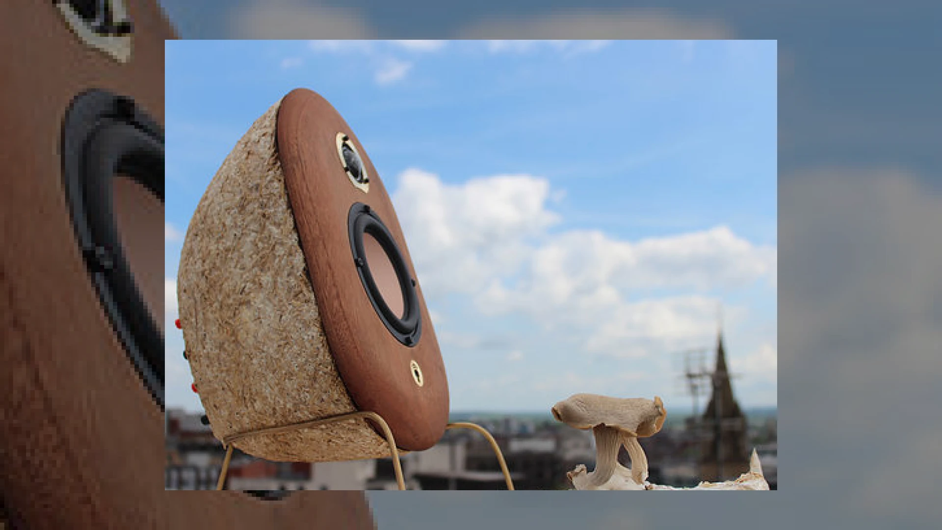 mushroom speakers designed by student